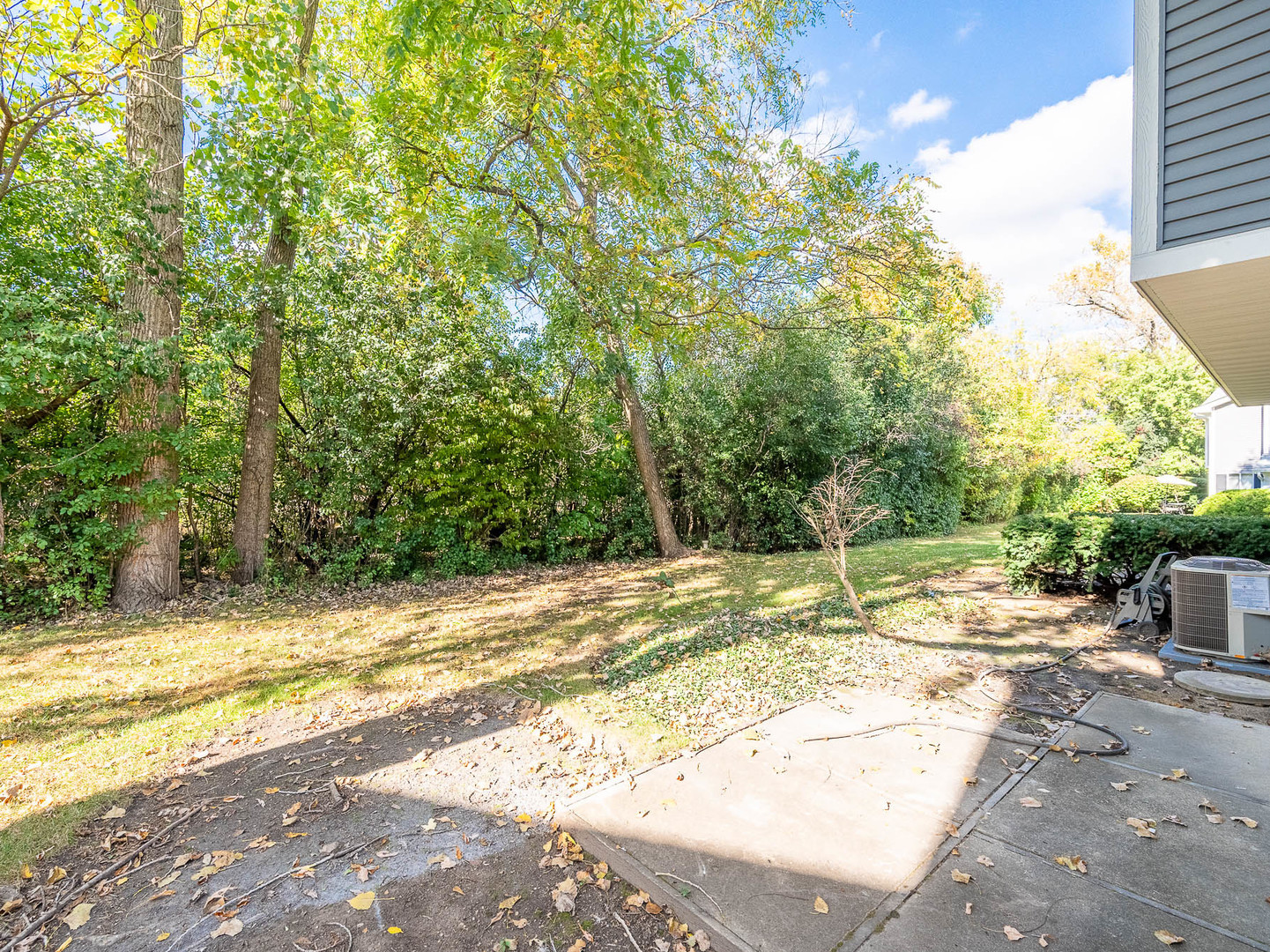 Property - Thumbnail 14